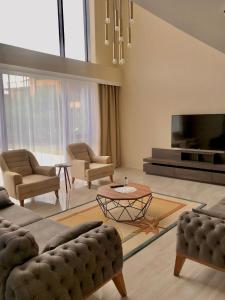 薩潘賈的住宿－DSF Villas & SPA A17，客厅配有沙发、椅子和电视