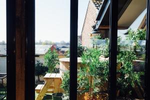 ラフバラーにあるDestinesia Jason Worksの植物のあるバルコニーの景色を望む窓