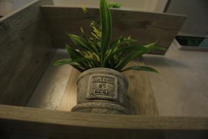 Φωτογραφία από το άλμπουμ του Hayot Plaza Hotel Yotoqxonasi σε Yunusobod +36 φωτογραφίες