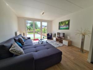 sala de estar con sofá azul y TV en Villa de l'Eculaz, en Reignier