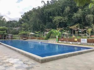 uma grande piscina azul num resort em RedDoorz near Wisata Paribendo Lawang em Bukit Lawang