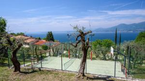 a tennis court with two trees on top of it at Maison Balù Villa in Torri del Benaco