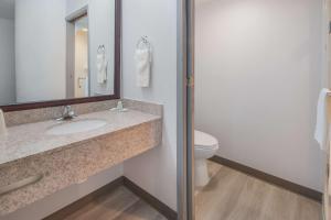 Koupelna v ubytování Quality Inn & Suites Richardson-Dallas
