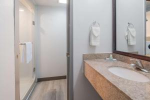 Koupelna v ubytování Quality Inn & Suites Richardson-Dallas
