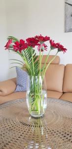 a vase filled with red flowers on a table at An den Elbwiesen in Dresden
