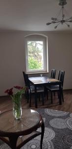 a dining room with a table and chairs and a window at An den Elbwiesen in Dresden