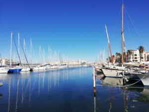 a group of boats docked in a harbor at Le Carlton - Superbe Appartement - Accès direct plage - Terrasse Vue mer in Leucate