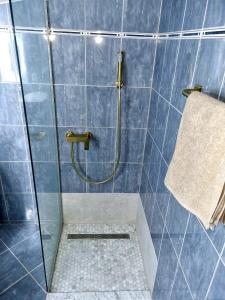 a shower with a glass door in a bathroom at Apartments Lusi in Brela