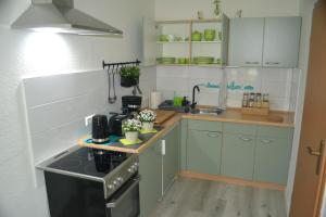 een keuken met groene kasten en een fornuis top oven bij Apartment Editha Wohnung im EG Zentrumsnah in Maagdenburg