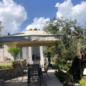 Zahrada ubytování Casa Sofia