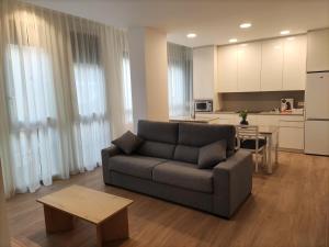 salon z kanapą i kuchnią w obiekcie Iberflat Apartamentos Trinidad w mieście Castellón de la Plana