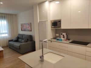 Kuchnia lub aneks kuchenny w obiekcie Iberflat Apartamentos Trinidad