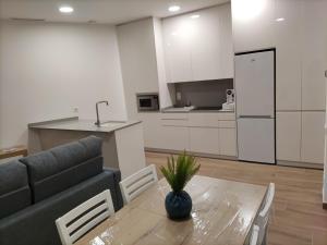 Kuchnia lub aneks kuchenny w obiekcie Iberflat Apartamentos Trinidad