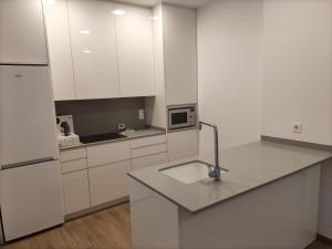 Kuchnia lub aneks kuchenny w obiekcie Iberflat Apartamentos Trinidad