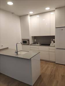 Kuchnia lub aneks kuchenny w obiekcie Iberflat Apartamentos Trinidad