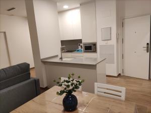 Kuchnia lub aneks kuchenny w obiekcie Iberflat Apartamentos Trinidad
