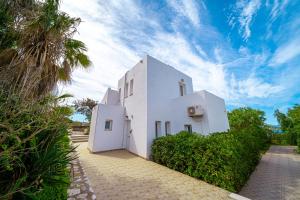 a white house with a palm tree at Cretan Life Holidays in Chorafakia