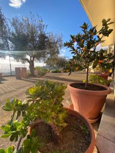 A garden outside Tenuta Guardavaglia
