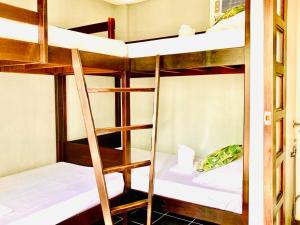 grupa łóżek piętrowych w pokoju w obiekcie BACKDOOR VILLA w mieście Baler