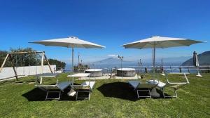 a group of chairs and umbrellas in the grass at ANTICA TENUTA CELOTTO in Vico Equense