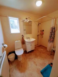 a bathroom with a white toilet and a sink at Cheerful 1-bedroom, 120 m from Sandbach in Bräcke
