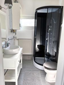 a bathroom with a shower and a sink and a toilet at Ferienhäuser Insel Usedom Haus Samara 8 - Blick aufs Achterwasser! Whirlpool und Sauna in Lütow