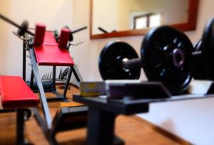 Fitness centrum a/nebo fitness zařízení v ubytování Vitalhotel Gosau