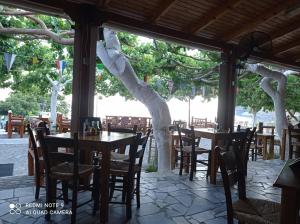 a restaurant with tables and chairs under a tree at Faragi in Agia Roumeli
