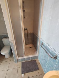 a bathroom with a shower and a toilet at Studio 2 personnes en centre ville in Saint-Pierre-de-Plesguen