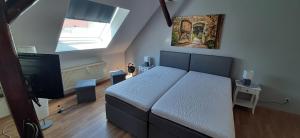 1 dormitorio con 1 cama grande y TV en Apartment Lutherrose, en Eisleben