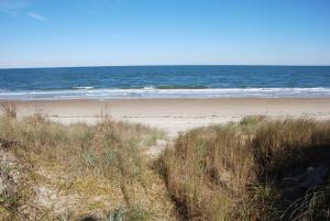 a sandy beach with the ocean in the background at Old Time Beach Front Cottage - The Beach is your Backyard! Pet Friendly cottage in North Camellia Acres