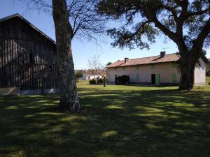 a barn and two trees in a yard at LE PETIT FROUAS CENTRE in Vielle-Saint-Girons