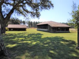 an old barn in a field with a tree at LE PETIT FROUAS CENTRE in Vielle-Saint-Girons +9 photos