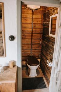 a bathroom with a toilet with a wooden wall at Vienkiemio Oazė - Namelis Prie Šermukšnio in Galvokai