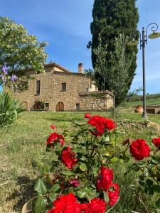 Κήπος έξω από το Agriturismo Casallario