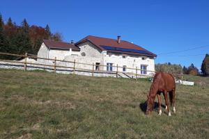 a horse grazing in a field in front of a house at Chambres d'hôte des 3 Marches in Lamoura