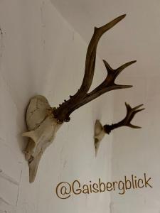 an animal skull hanging on a wall at Gaisbergblick in Molln