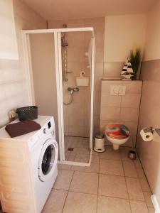 a bathroom with a shower and a washing machine at Ferienhäuser Steffi und Ruth in Ueckeritz
