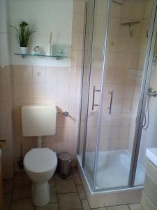een badkamer met een toilet en een douche bij Ferienwohnung Fritz in Groß Vollstedt