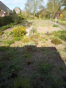 a garden with some plants in a yard at Ferienwohnung Fritz in Groß Vollstedt