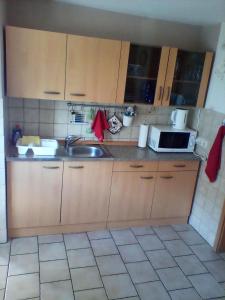 a kitchen with a sink and a microwave at Ferienwohnung Fritz in Groß Vollstedt