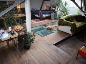 een woonkamer met een glazen vloer bij Artistic loft apartment with big sun terrace in Gent