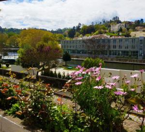 a garden with flowers and buildings in the background at Casa d`Avó Ná in Termas de Sao Pedro do Sul