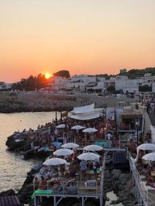 Táj Show holiday homes közelében