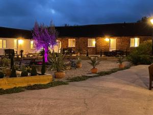 a house with a purple tree in a courtyard at night at Martinmas Cottage in Flamborough