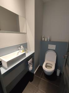 une salle de bain avec des toilettes blanches et un lavabo dans l'établissement Maison du cap ****, à Saint-Lary-Soulan