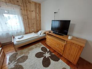 Televízia a/alebo spoločenská miestnosť v ubytovaní Fenyőfa vendégház