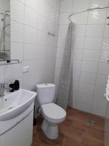 La salle de bains blanche est pourvue de toilettes et d'un lavabo. dans l'établissement Sowinka, à Lutowiska