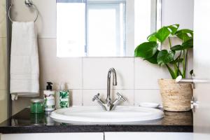 a bathroom sink with a plant and a mirror at Spacious Surfers Corner Beach Apartment in Cape Town +12 photos