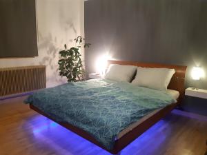 Ένα ή περισσότερα κρεβάτια σε δωμάτιο στο Schöne Altbauwohnung auf dem Land